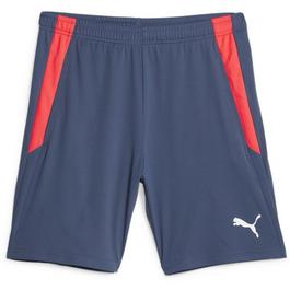 Puma teamLIGA Training Shorts 2 (open poc