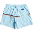Quiksilver BW Volley Board Shorts Mens