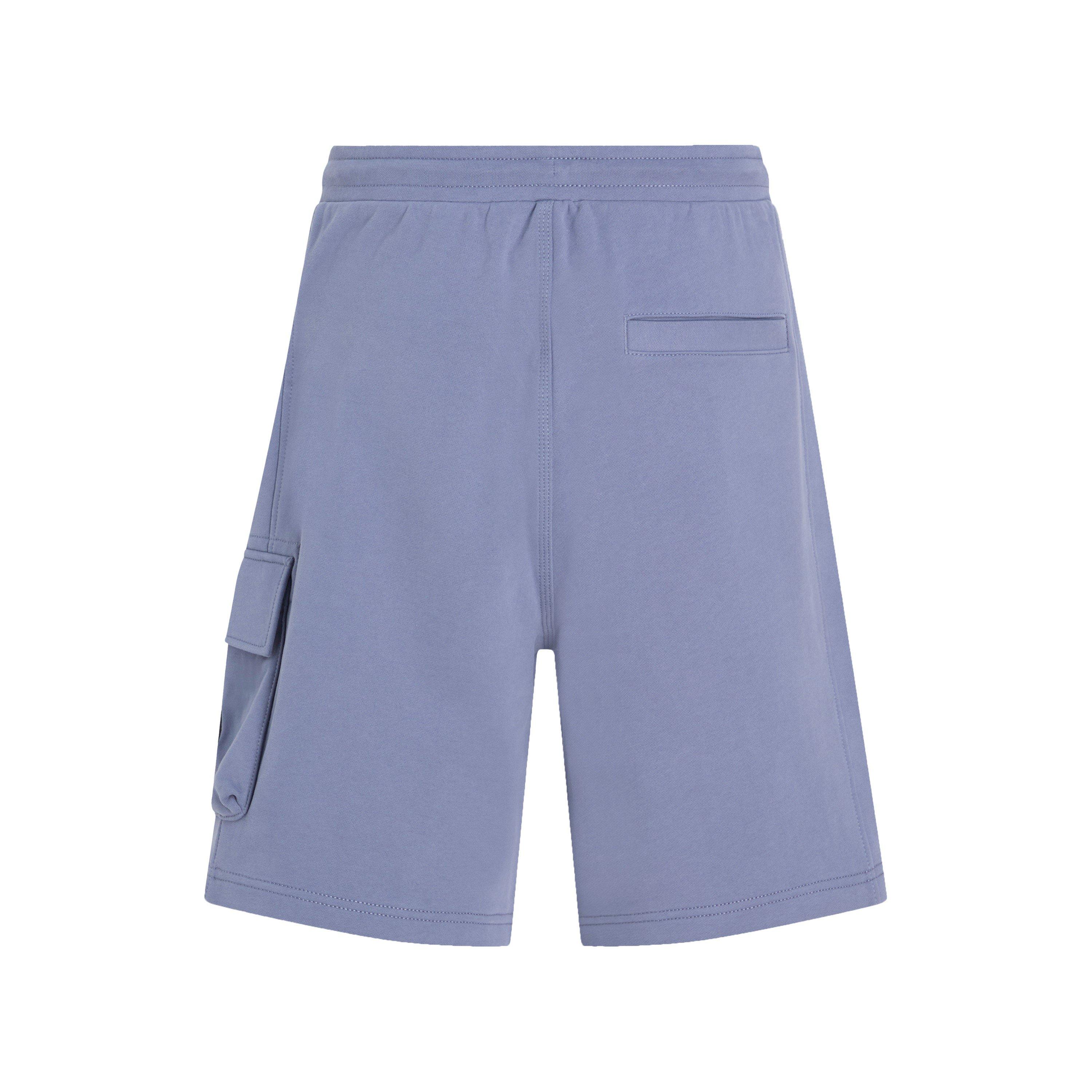 Grisaille - Calvin Klein Jeans - WOVEN LABEL SHORT - 7