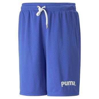 Puma TEAM Mesh Mens Shorts