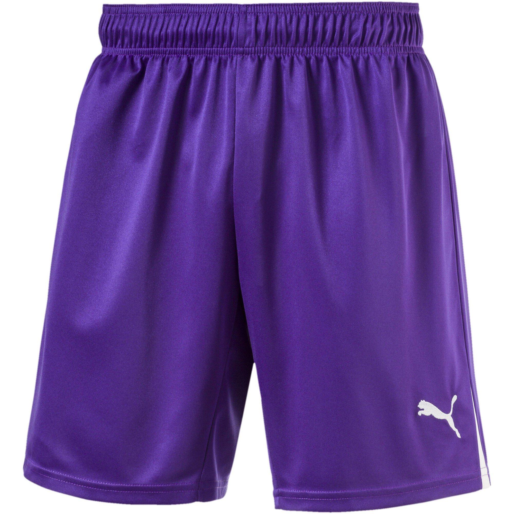Purple - Puma - (50) (Fb) Boy Team Shorts Juniors