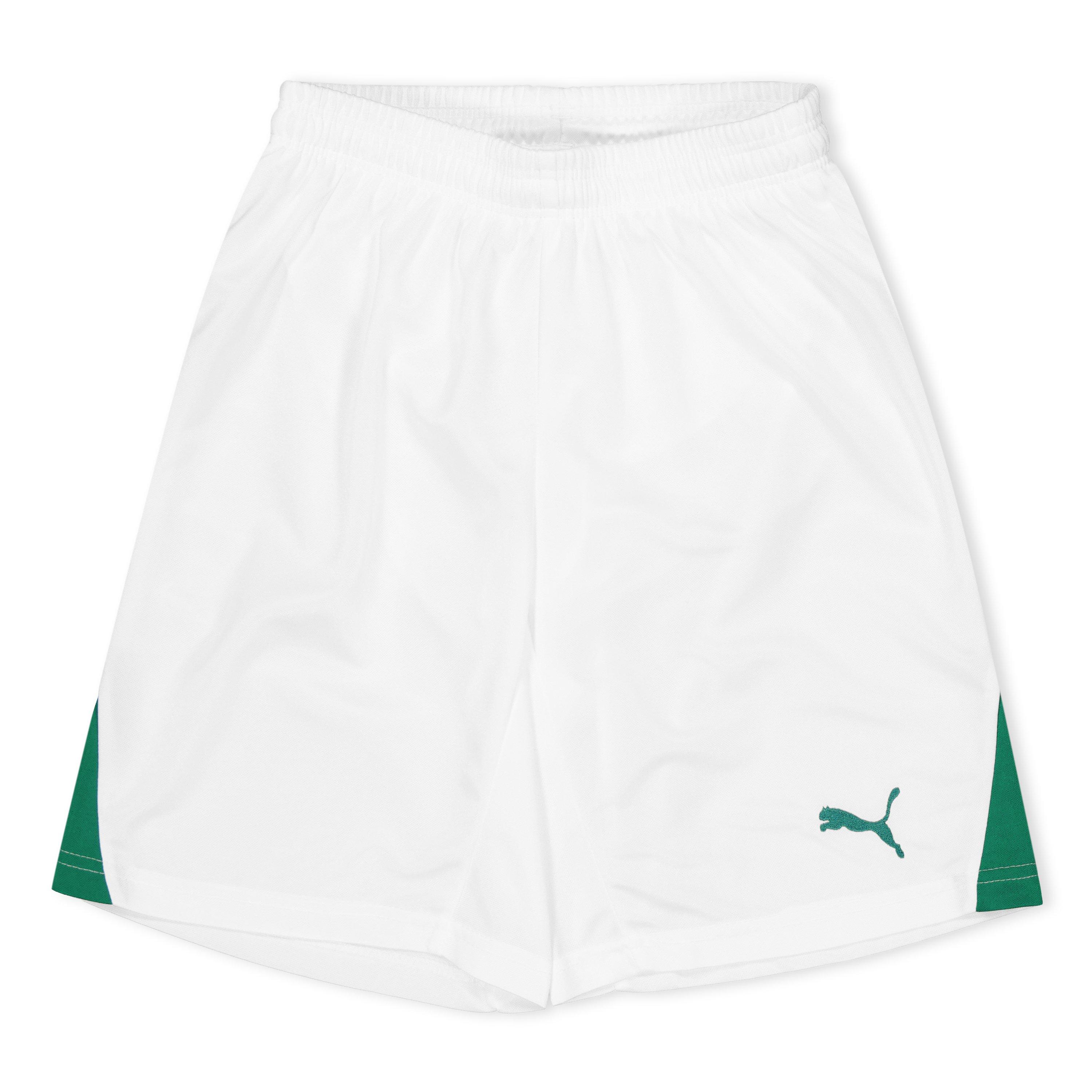 Puma Boys (F1) Fb Team Shorts With Brief Juniors - White - 9-10 (M)