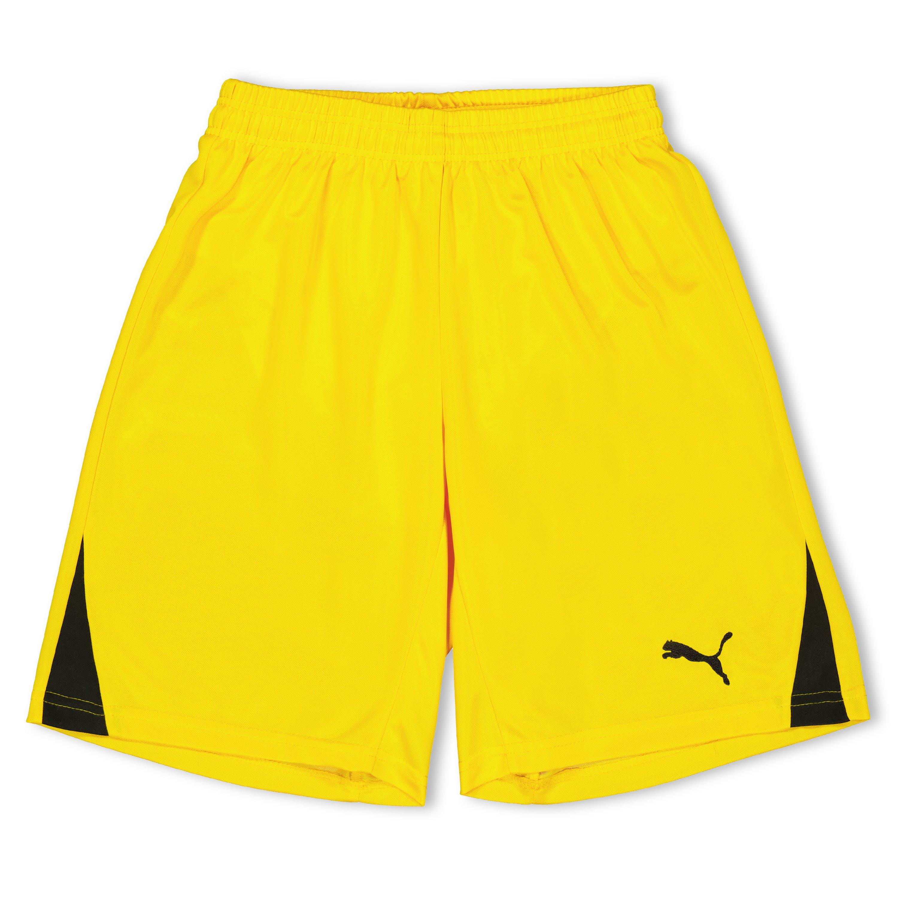 Puma (F3) Fb Team Shorts With Brief Juniors