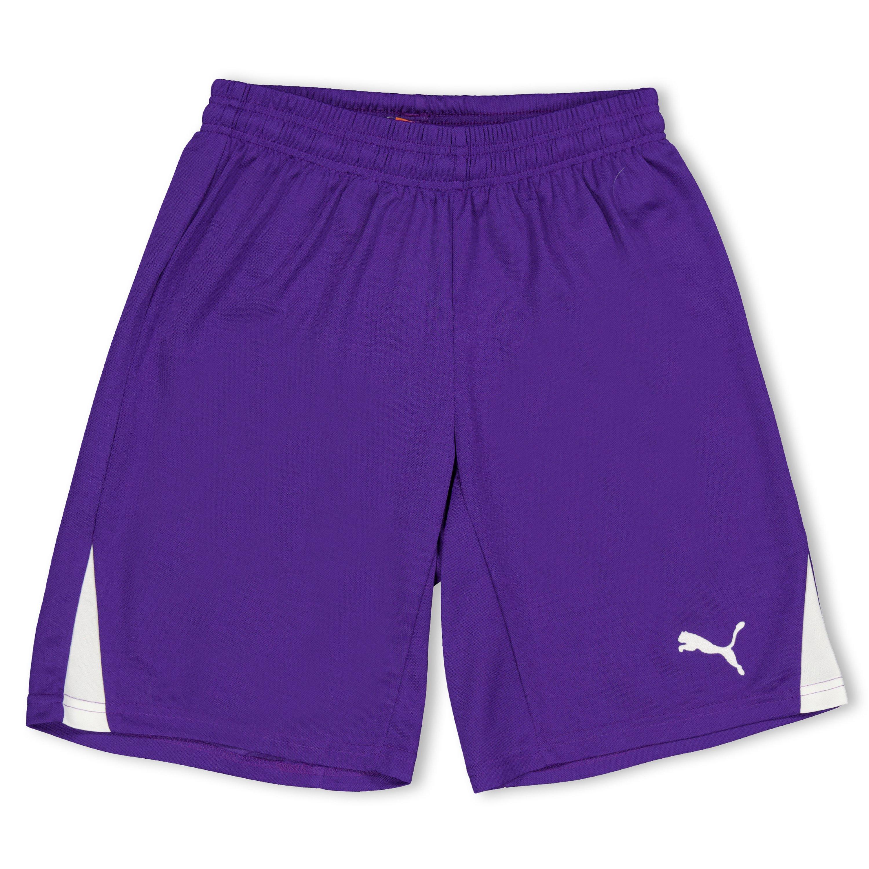 Puma (F3) Fb Team Shorts With Brief Juniors