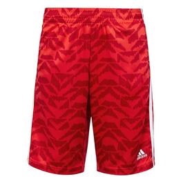 adidas Eclipse Women's Running Shorts