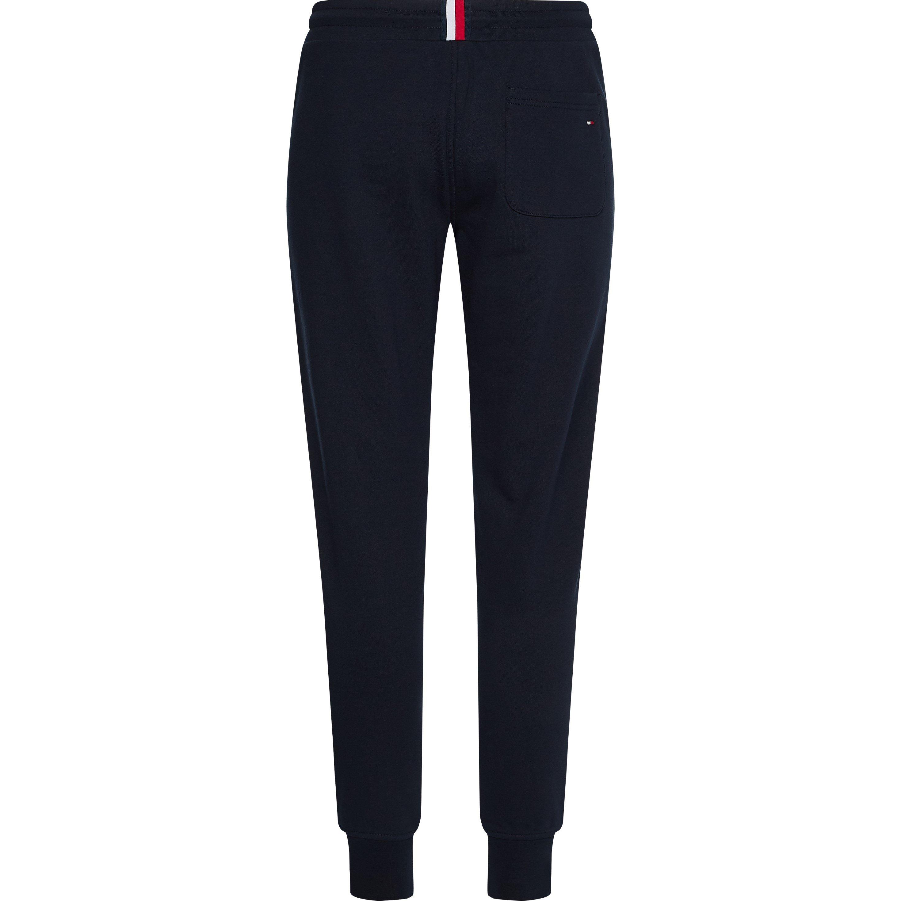 Desert Sky DW5 - Tommy Hilfiger - Logo Jogging Pants - 2