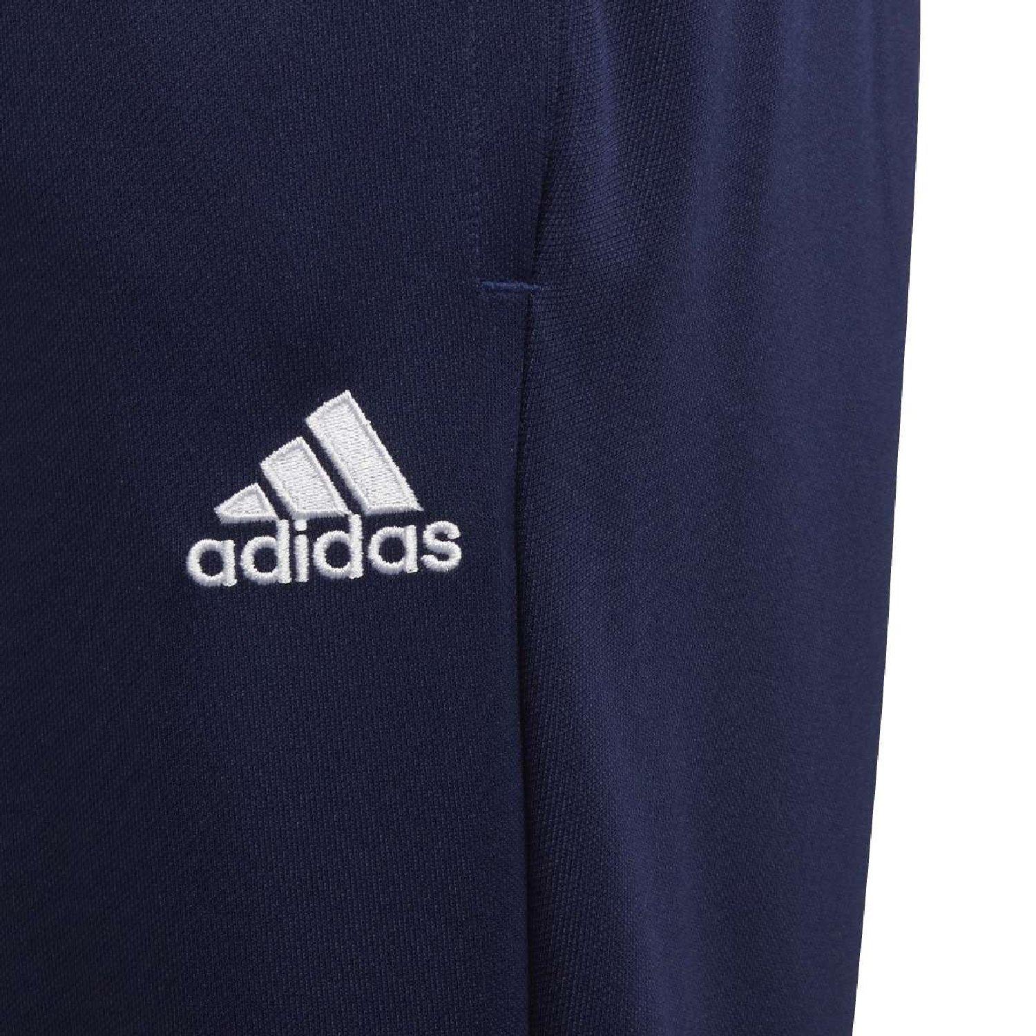 team navy blue - adidas - adidas Ent22 Tr Pnt Y - 5