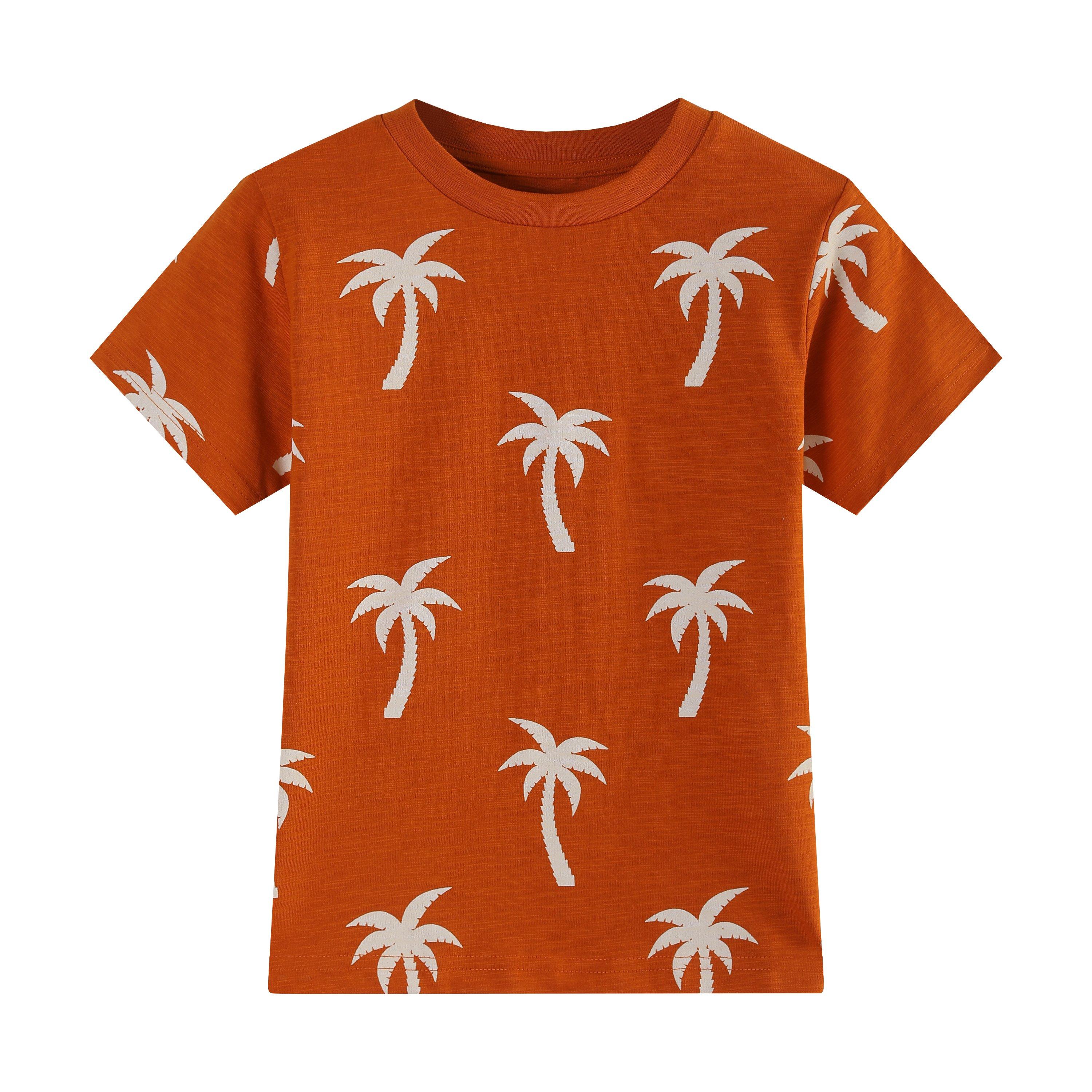 CREAM/RUST - Studio - Younger Boys 2 pack Printed Tshirt - 6