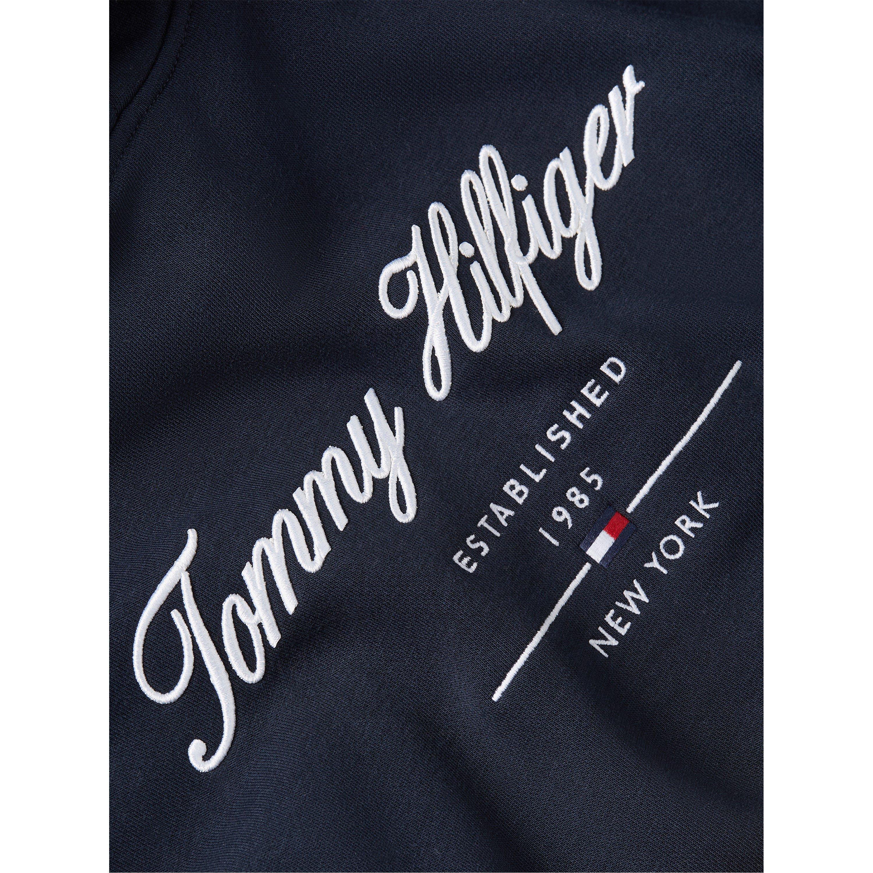 Desert Sky DW5 - Tommy Hilfiger - Men's Script Logo Relaxed Fit Pull Over Hoodie - 5