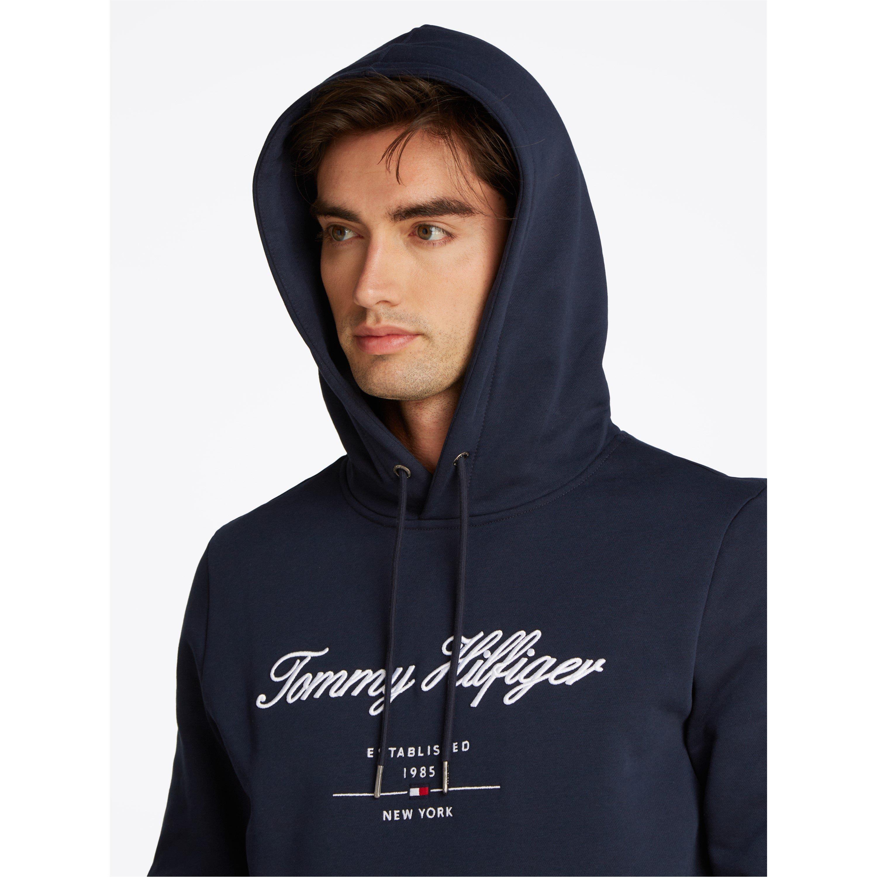 Desert Sky DW5 - Tommy Hilfiger - Men's Script Logo Relaxed Fit Pull Over Hoodie - 6
