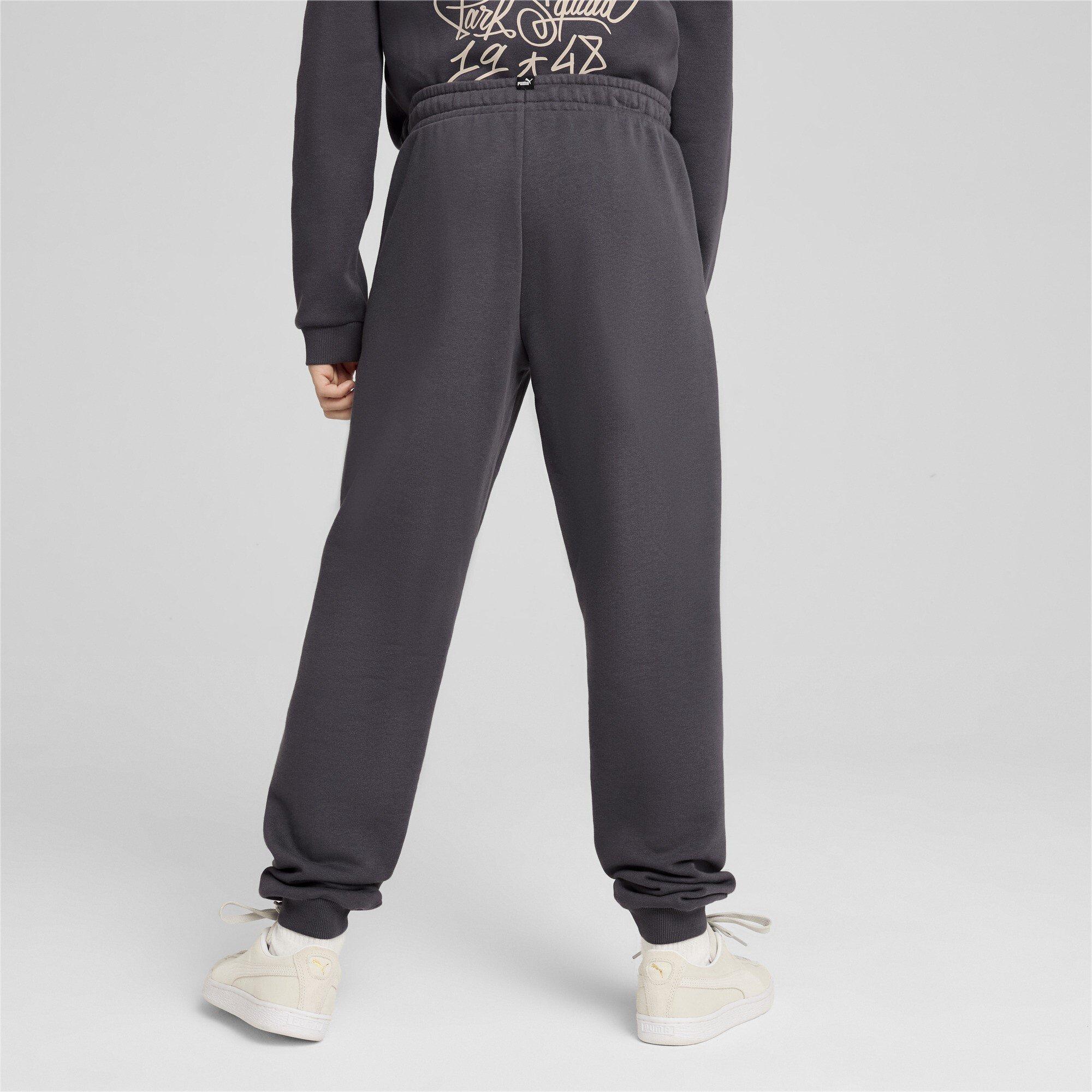 Galactic Gray - Puma - PUMA ESS+ MID 90s Juniors Sweatpants - 3