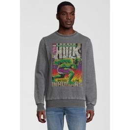 DC Comics Adults Hulk Crew Sweatshirt