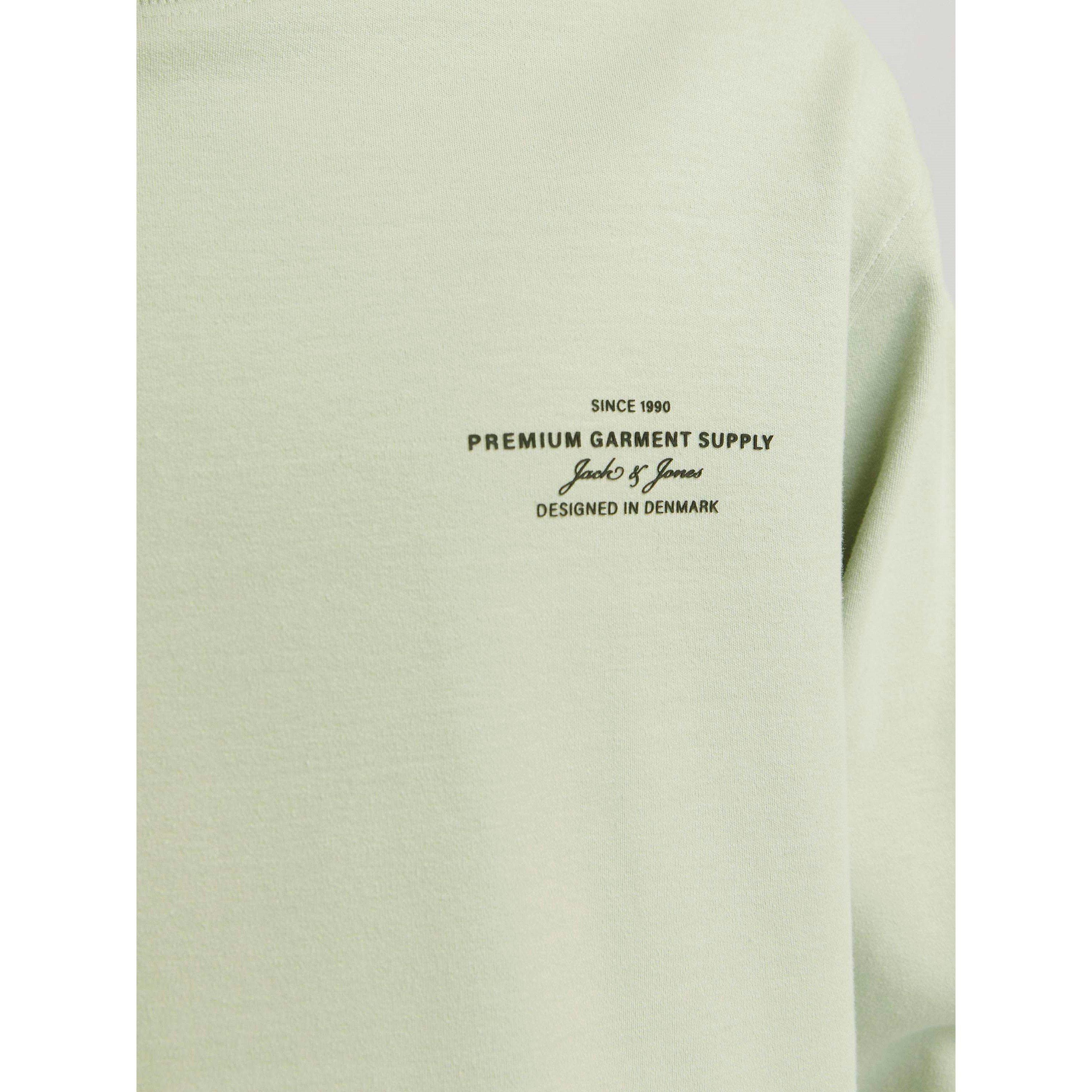 Aqua Gray - Jack and Jones - Jack Crw Neck Sweat Sn99 - 5