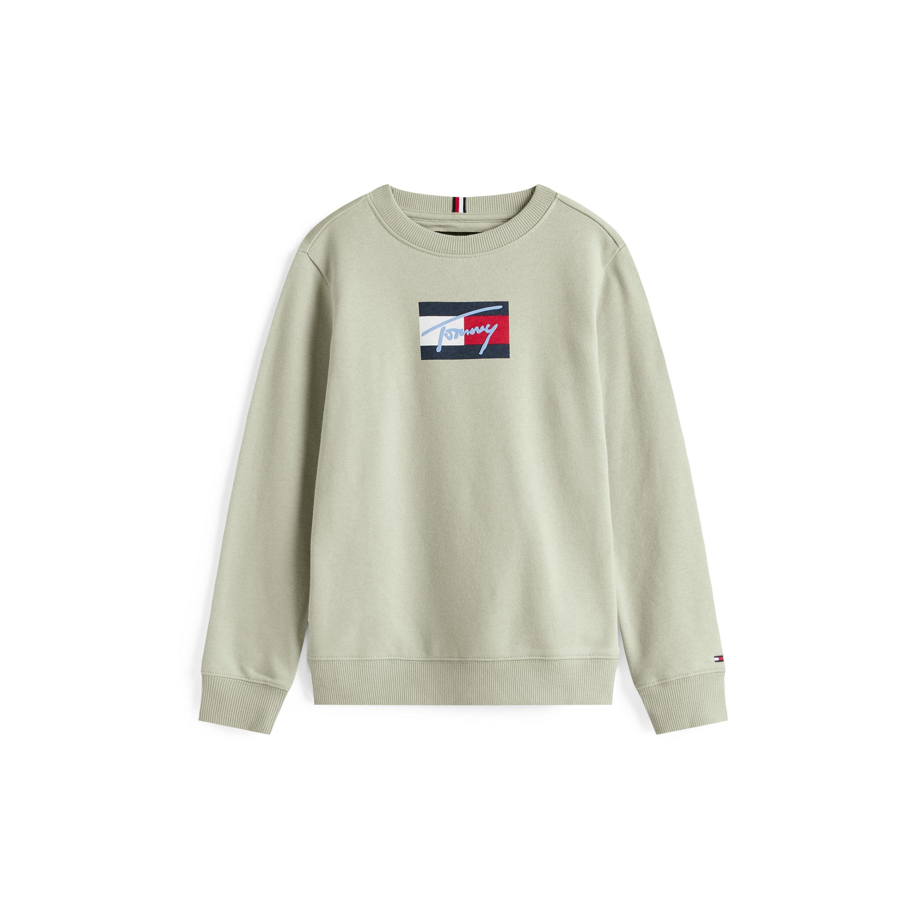 Tommy Hilfiger Boys Kids' Soft Fabric Crew Sweatshirt - Misty Sage M1c - 12Y