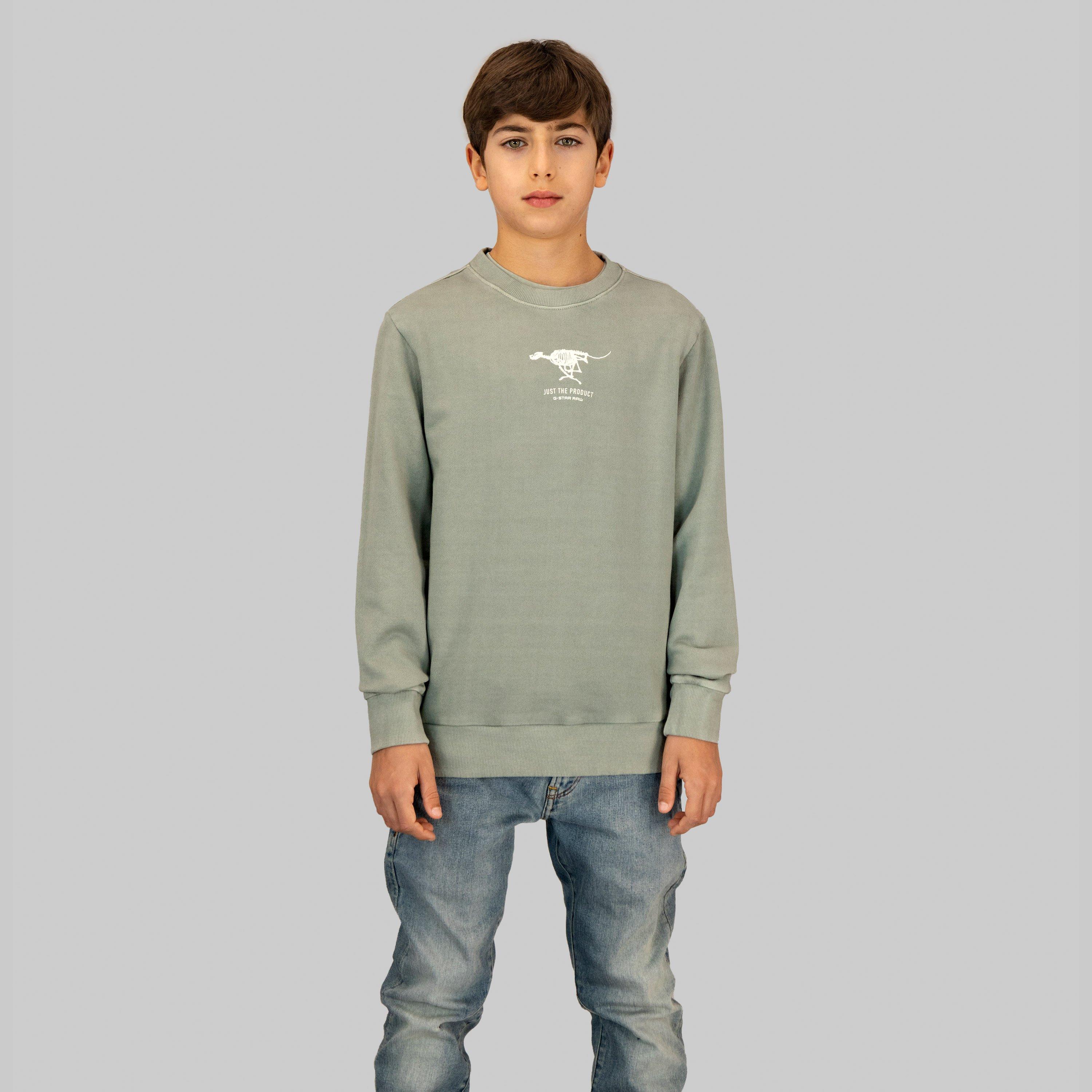 G Star Boys Kids' Logo Cotton Crew Sweatshirt - Mercury - 12Y