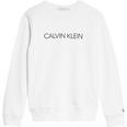 Calvin Junior Boys Institutional Crew Sweatshirt
