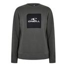 Vert militaire - ONeill - Cube Sweater Sn24 - 1