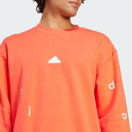 adidas adidas Bl Ft Crw Q1 Sweatshirt Mens