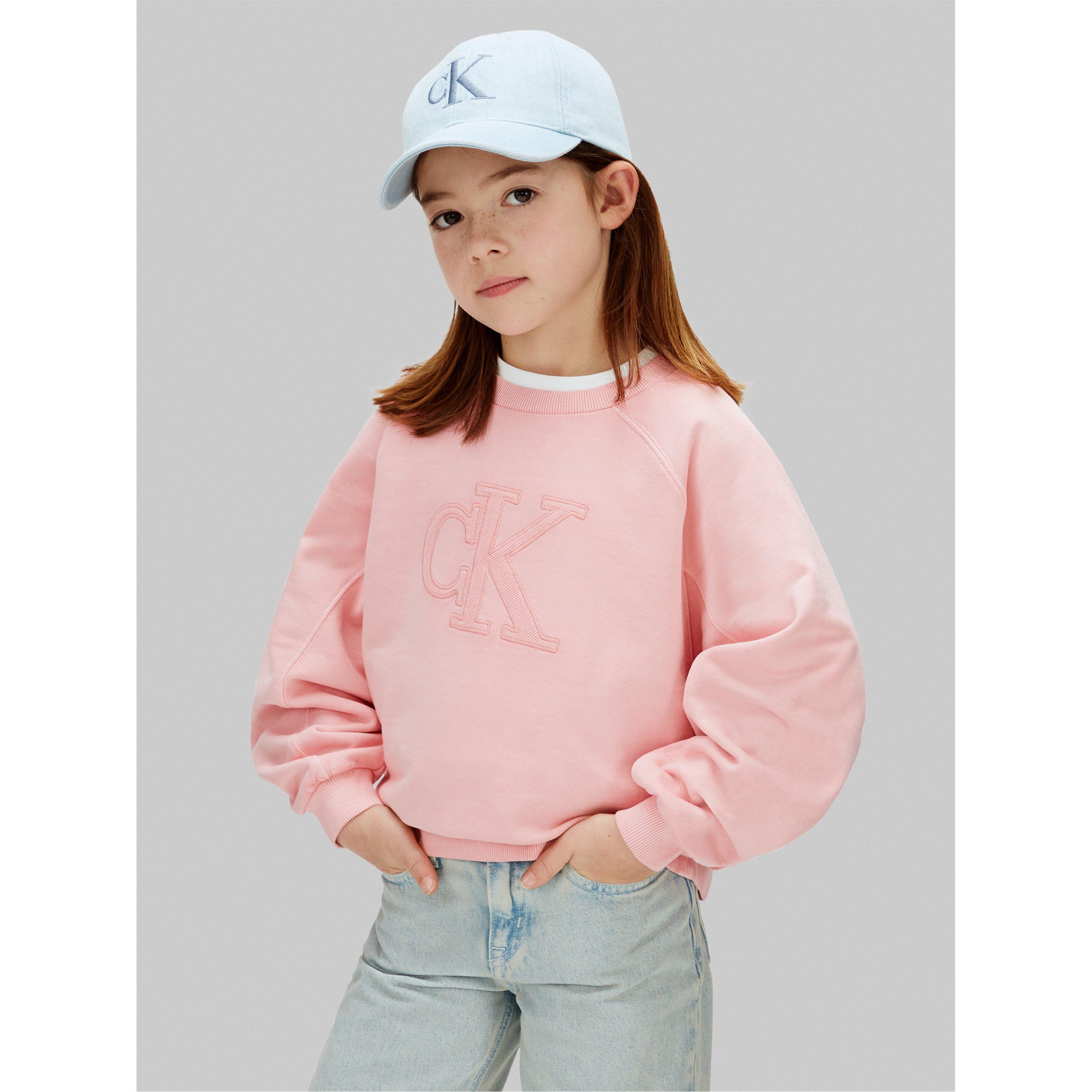 Quartz Pink TFL - Calvin Klein Jeans - CKJ Logo Sweatshirt Jn62 - 2