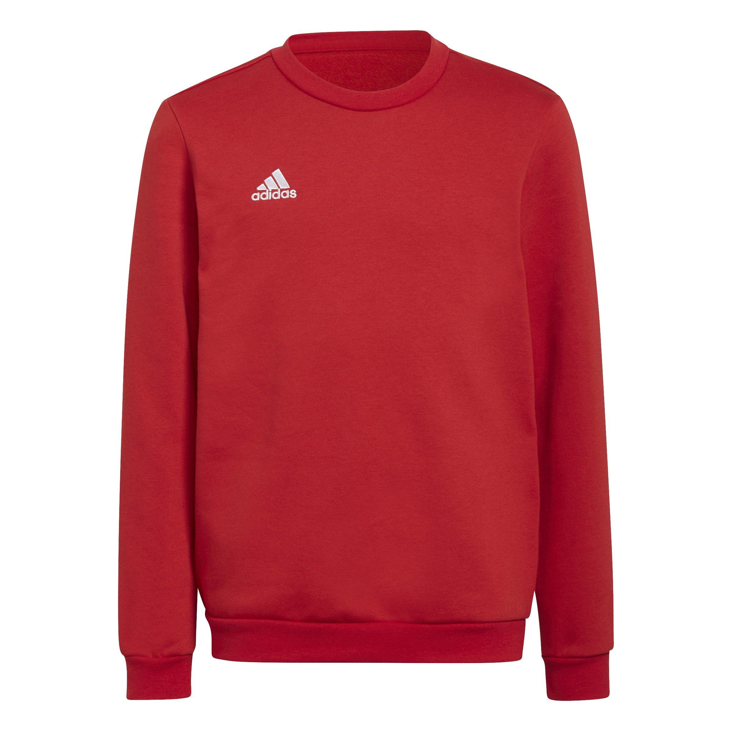 Rosso - adidas - ENT22 Sweater Juniors - 1