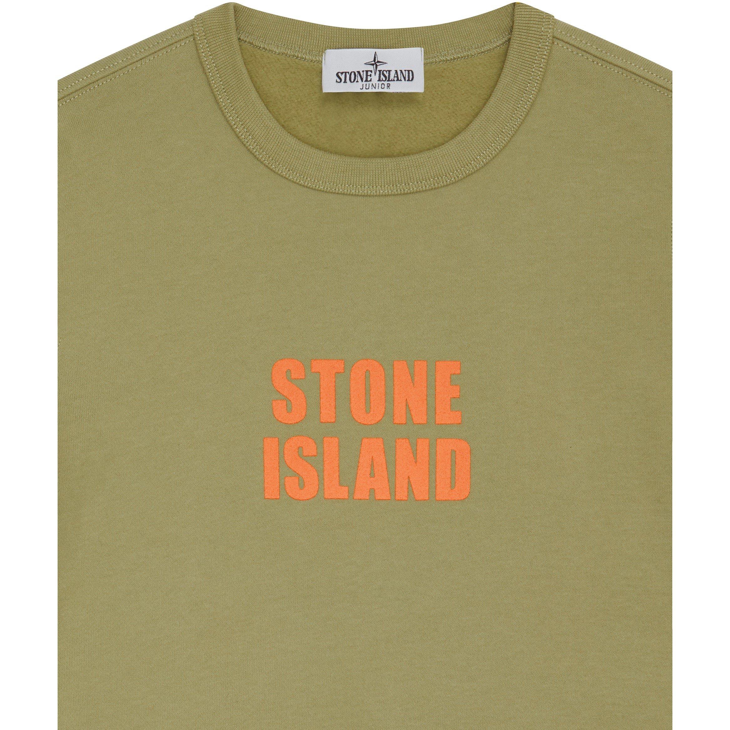 Sage V0055 - Stone Island - Striped Logo Sweater - 3