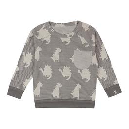 Lilly and Sid Dino Jacq Swtsht Jn99