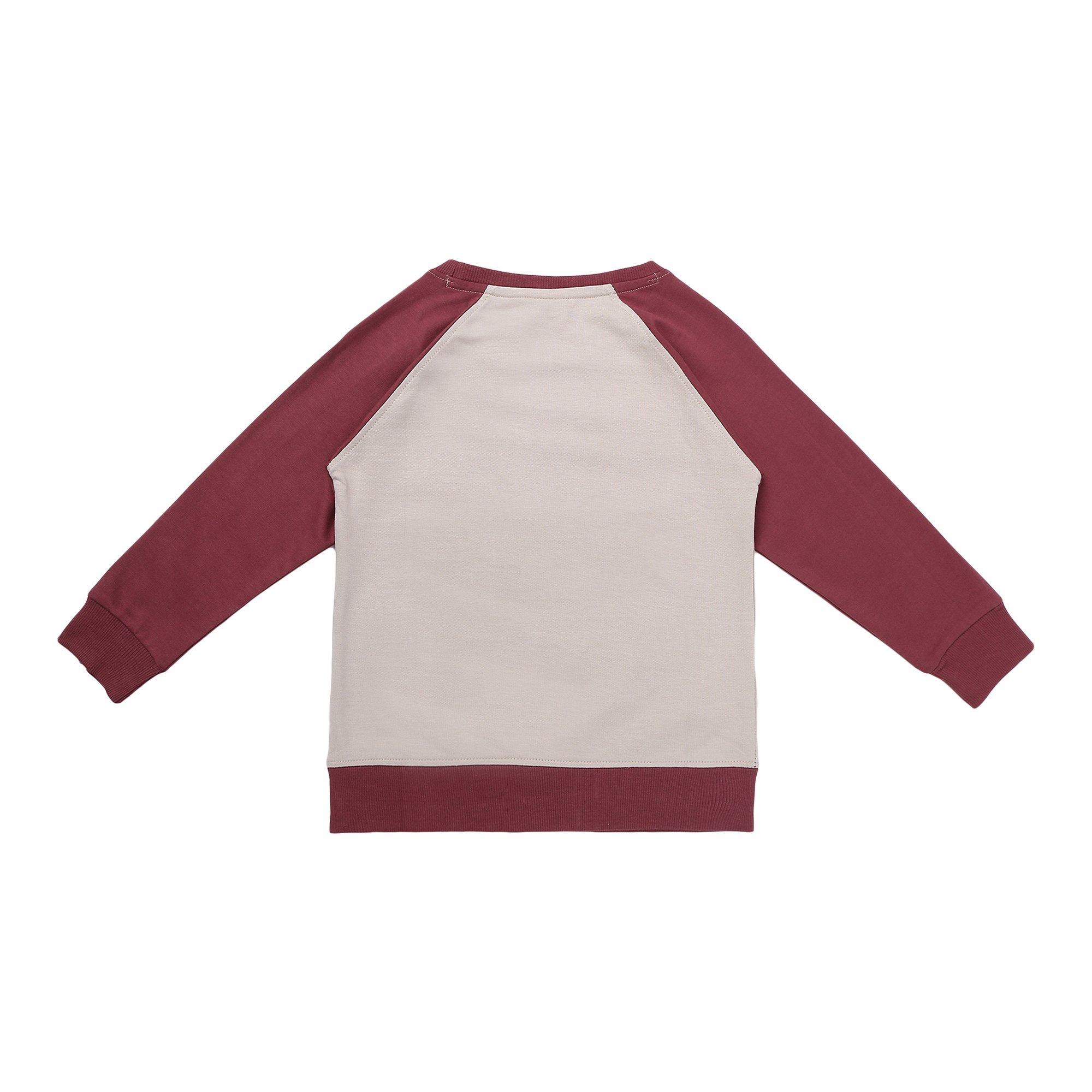 Multi - Lilly and Sid - Badger Crew Sweatshirt - 2