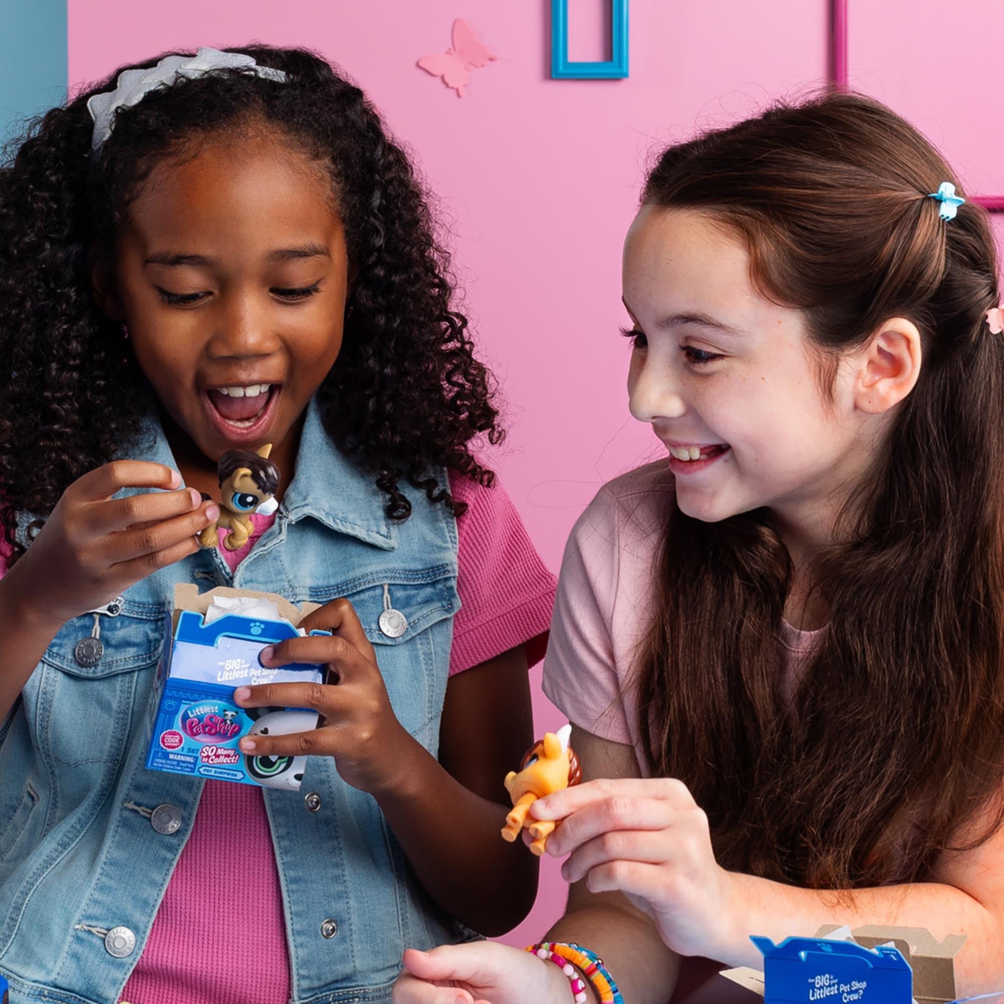 N/A - Littlest Pet Shop - PET S PK ASST - 7