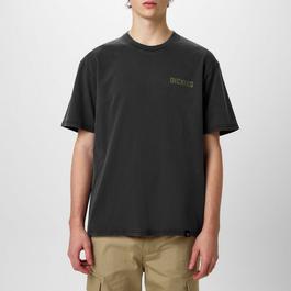 Dickies High Flyng T Sn51