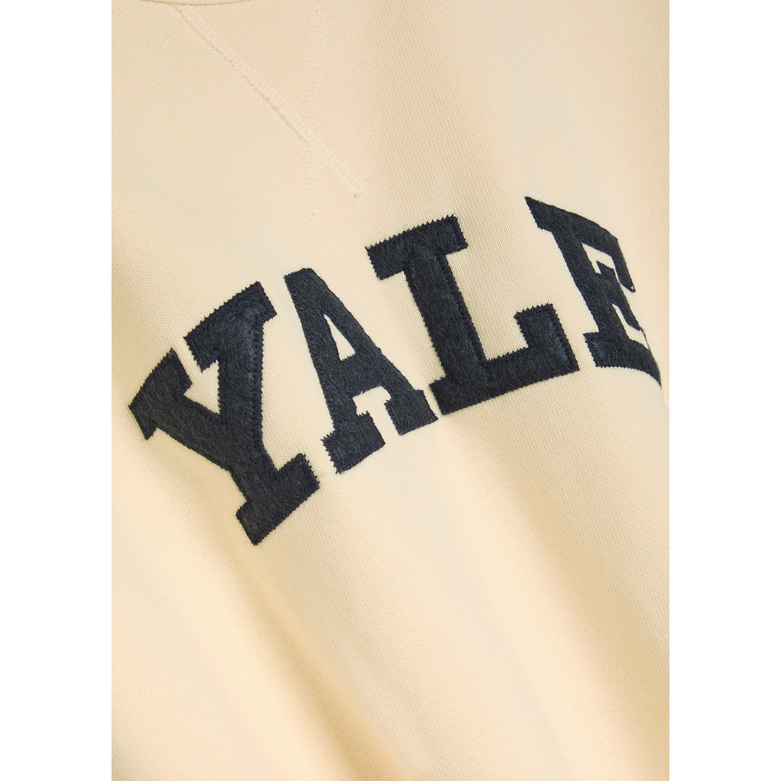 CREAM - Gant - Men's Yale Cotton Crew-Neck Sweatshirt - 4