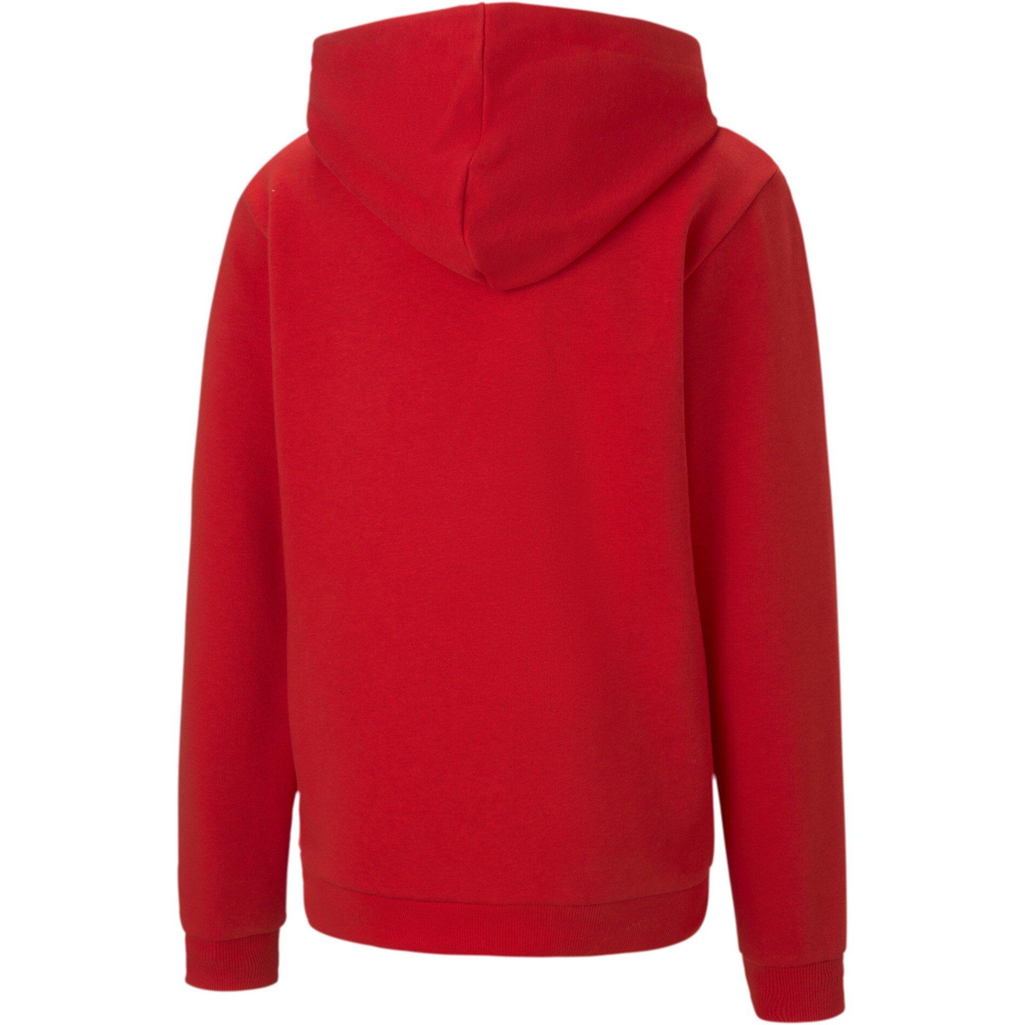 Puma Rouge - Puma - teamGOAL Casuals Hoodie - 2