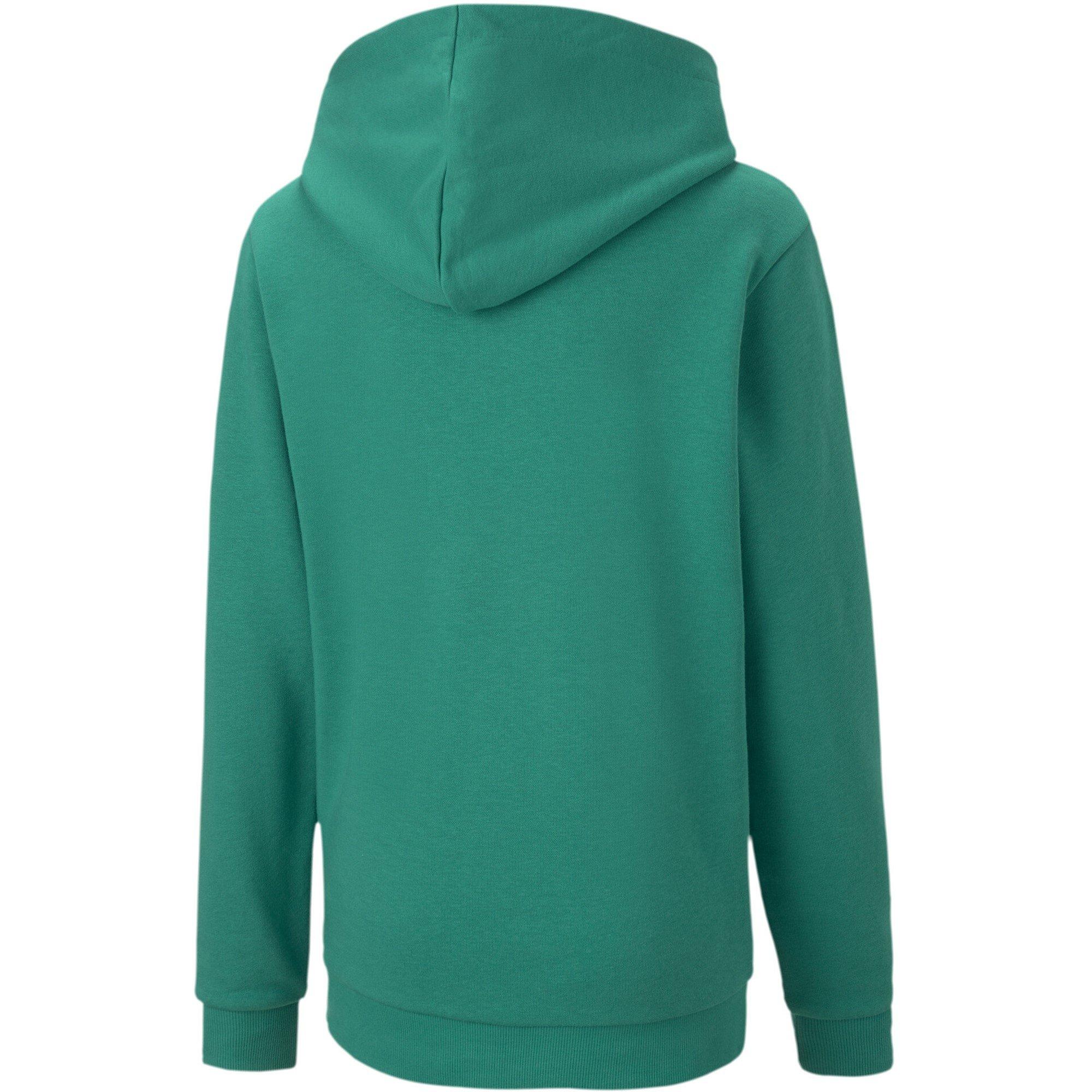 Pepper Green - Puma - teamGOAL Casuals Hoodie - 2