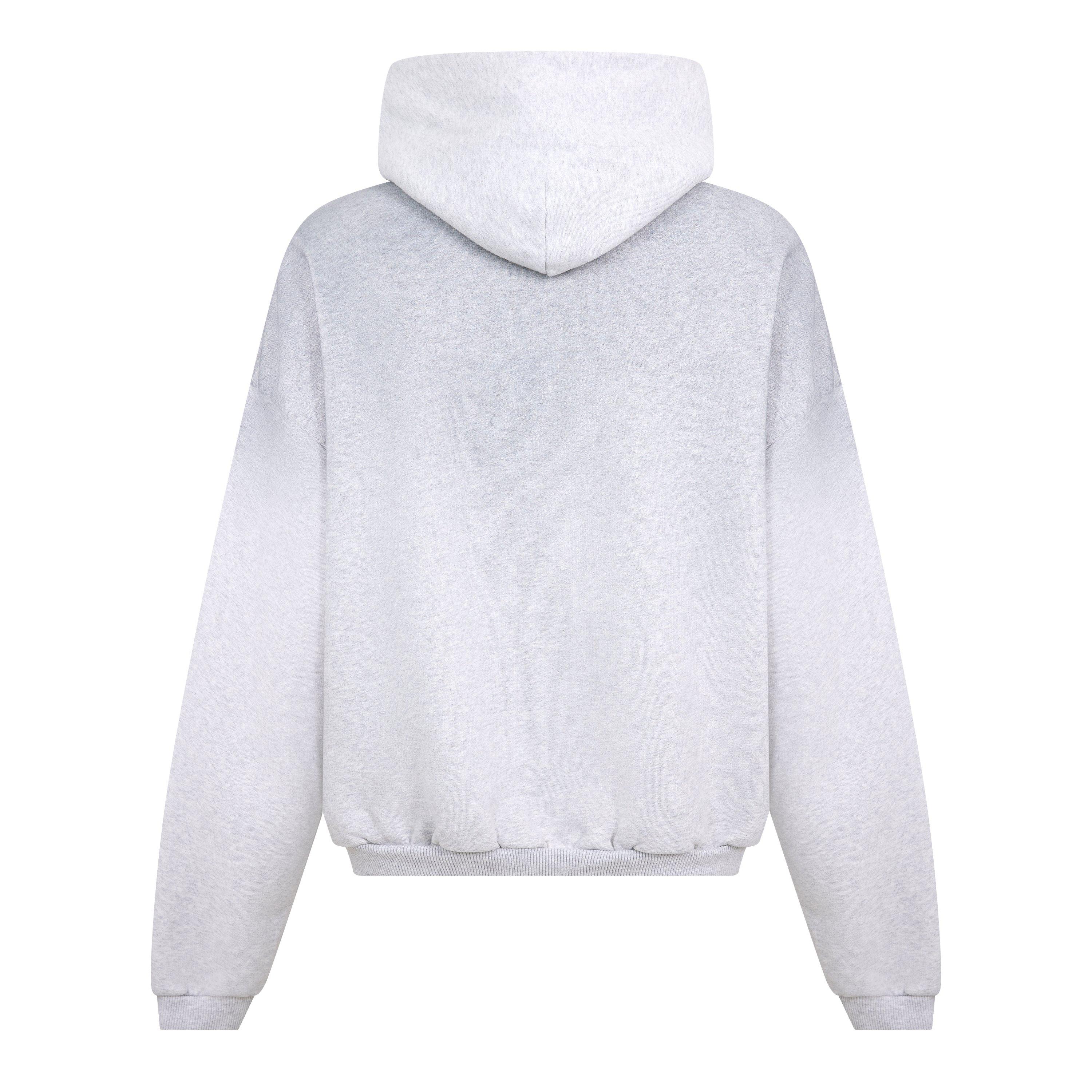 Sprayed Grey - Represent - Rep Owners OTH Sn61 - 2