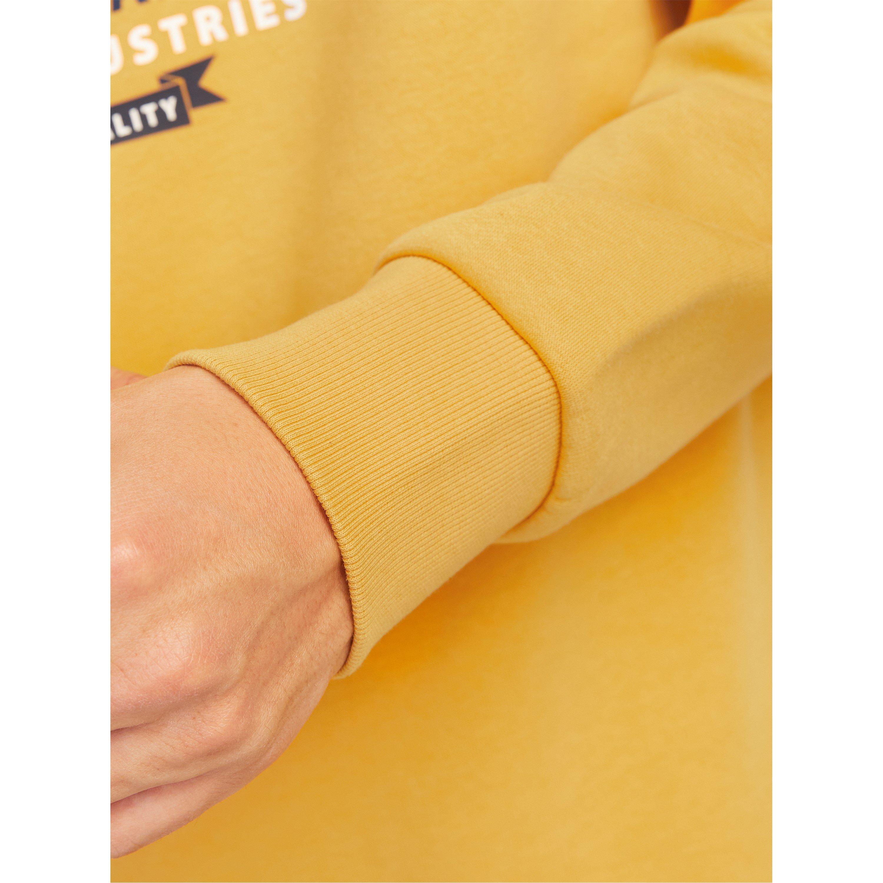 Or d'or - Jack and Jones - Hoodie - 3