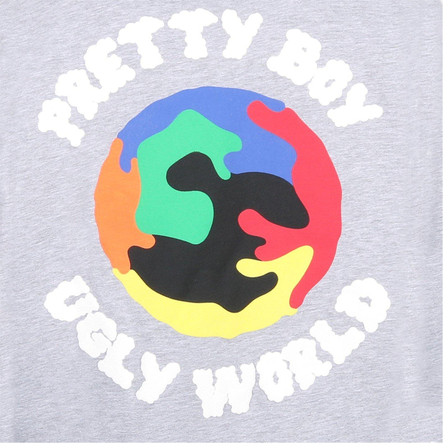 Grey/Multi - Pretty Boy Ugly World - Mens Over the Head Hoodie - 4