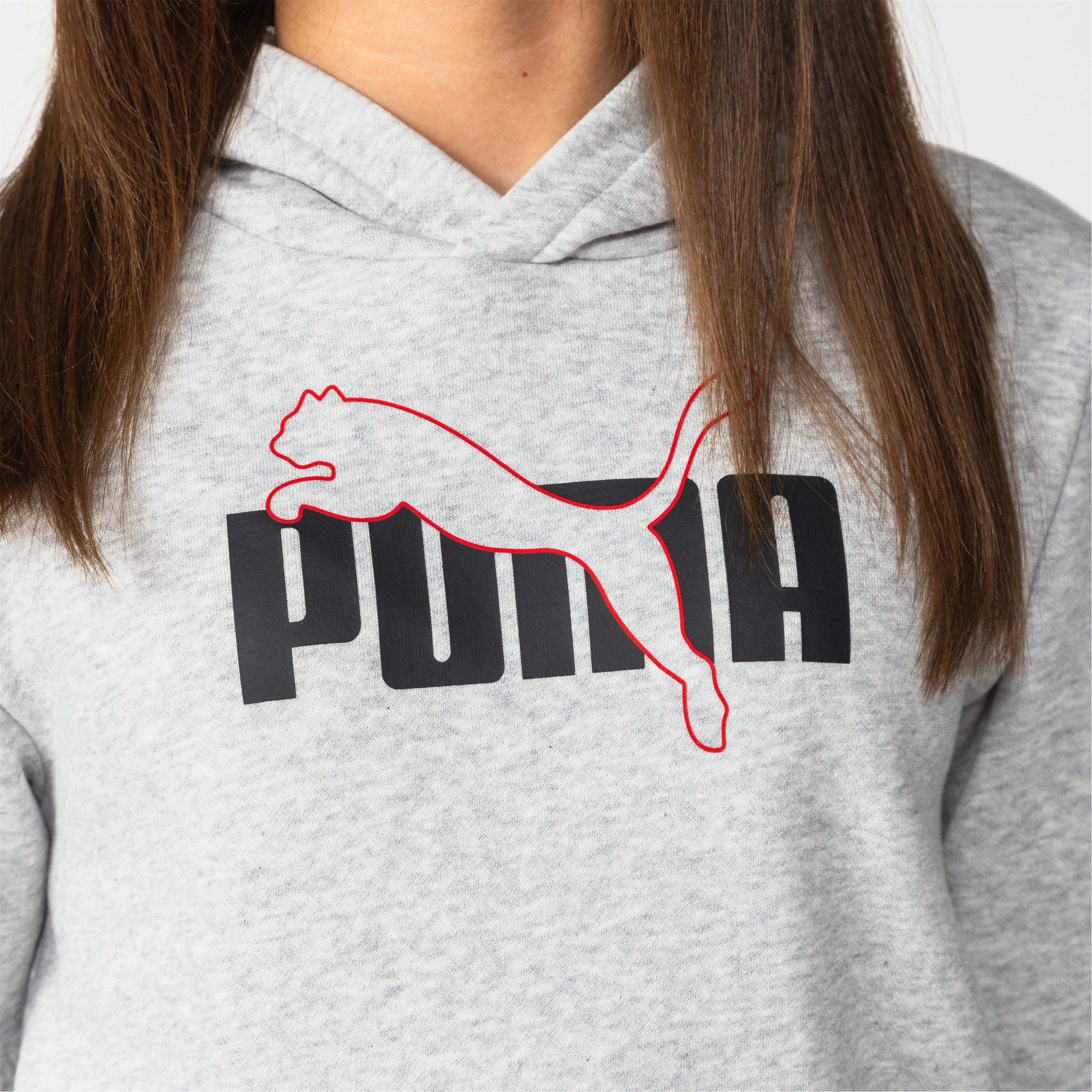 Grey Graphic - Puma - Logo Hoodie Junior Boys - 3