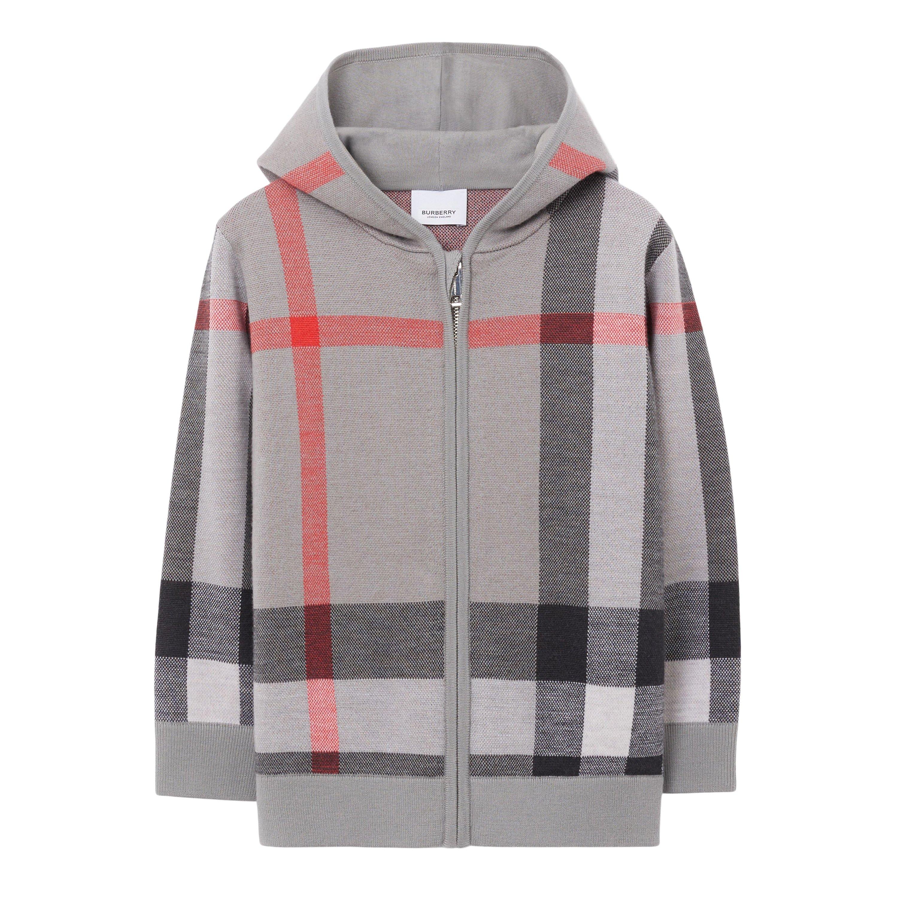 Boy Burberry Sweatshirt newest (6y)