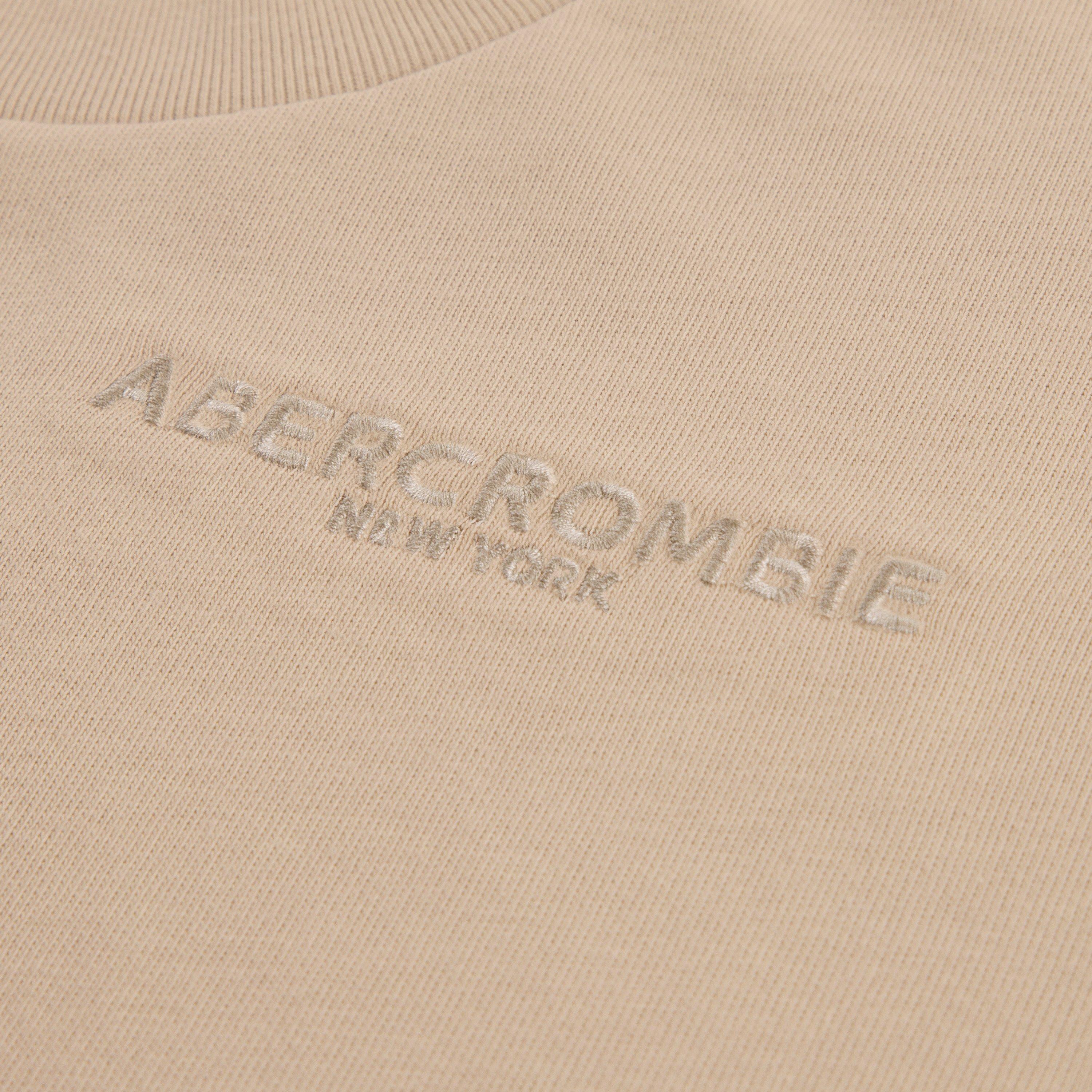 Chalk Pink AGX - Abercrombie and Fitch - Kids' Overhead Hoodie - 3