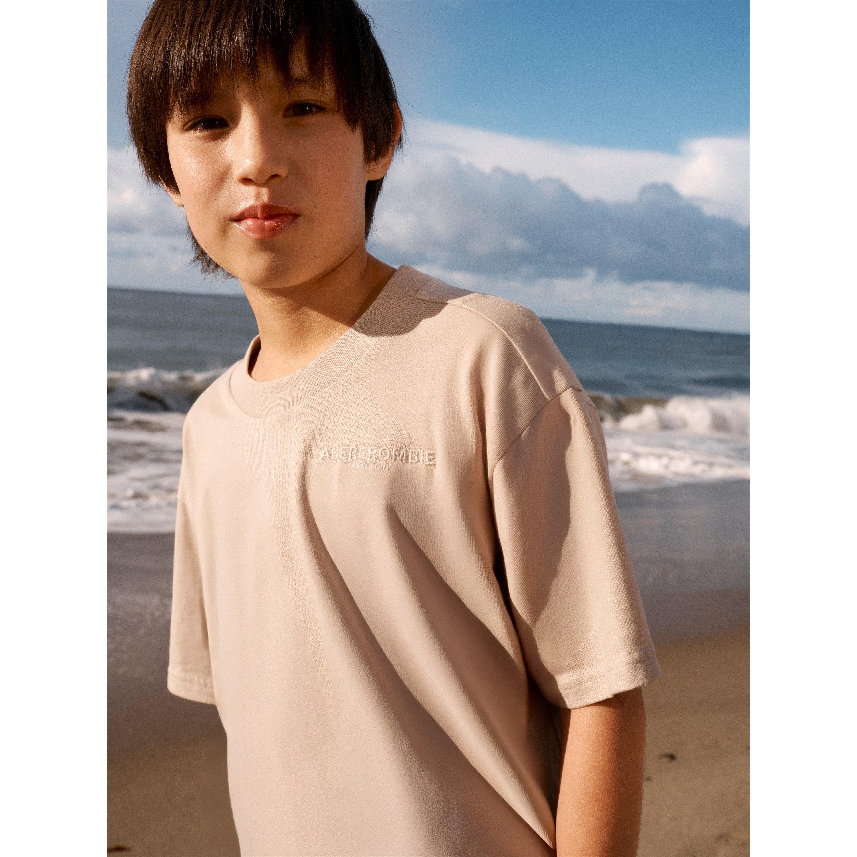 Chalk Pink AGX - Abercrombie and Fitch - Kids' Overhead Hoodie - 4