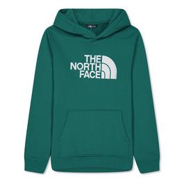 The North Face Drew Peak Hoodie