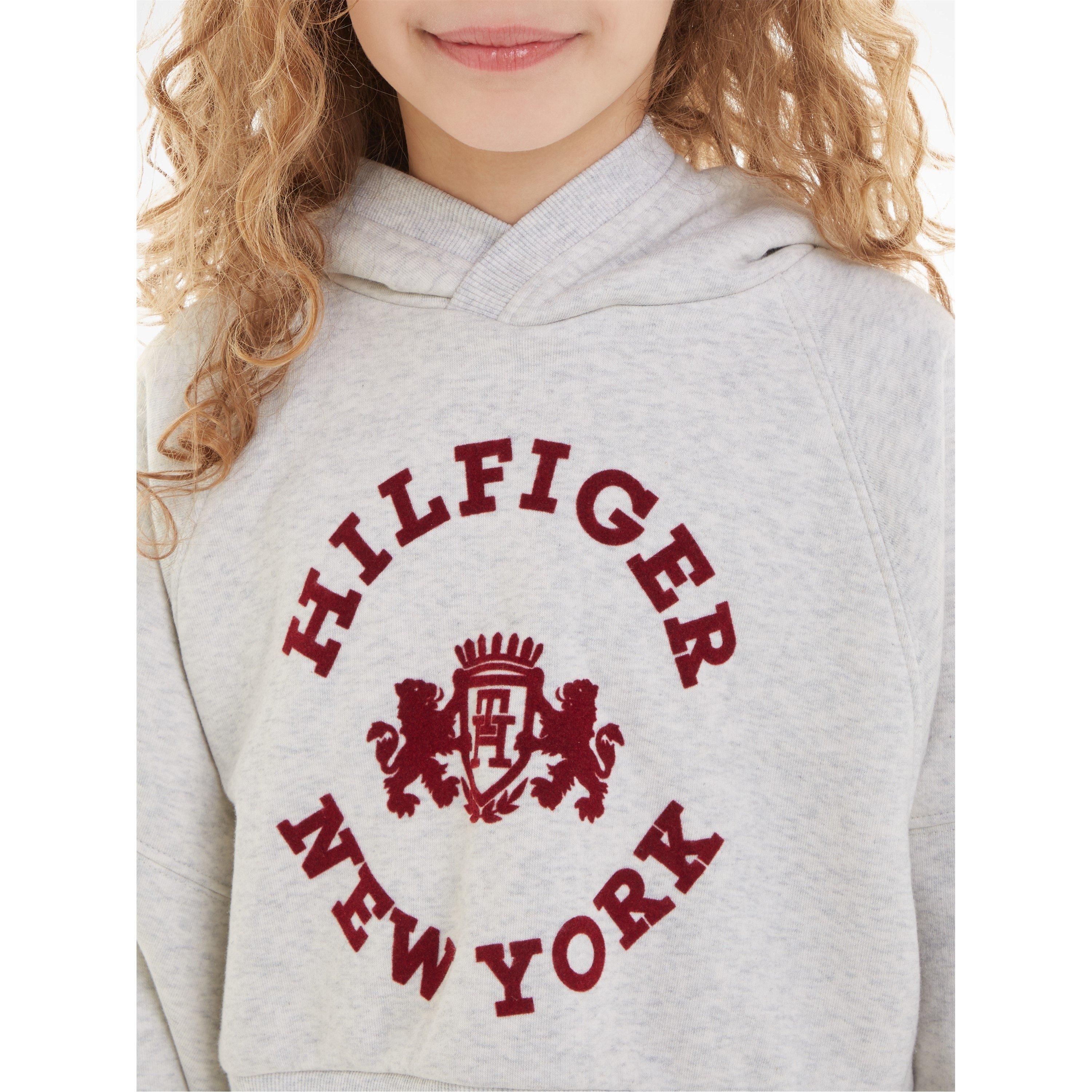 Crest hoodie tommy hilfiger on sale