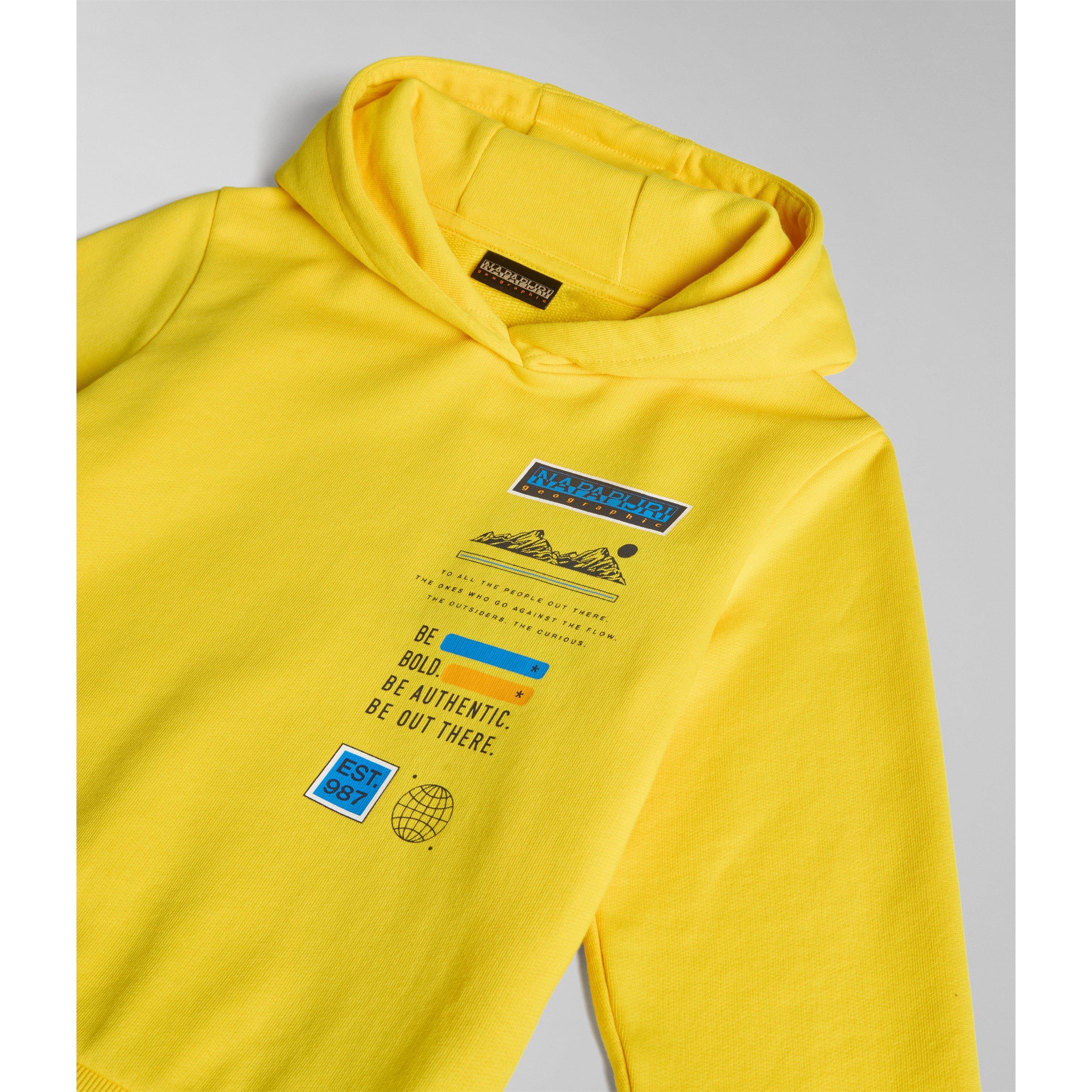 Yellow Y1K - Napapijri - Unisex Kids' Liard Hoodie - 2