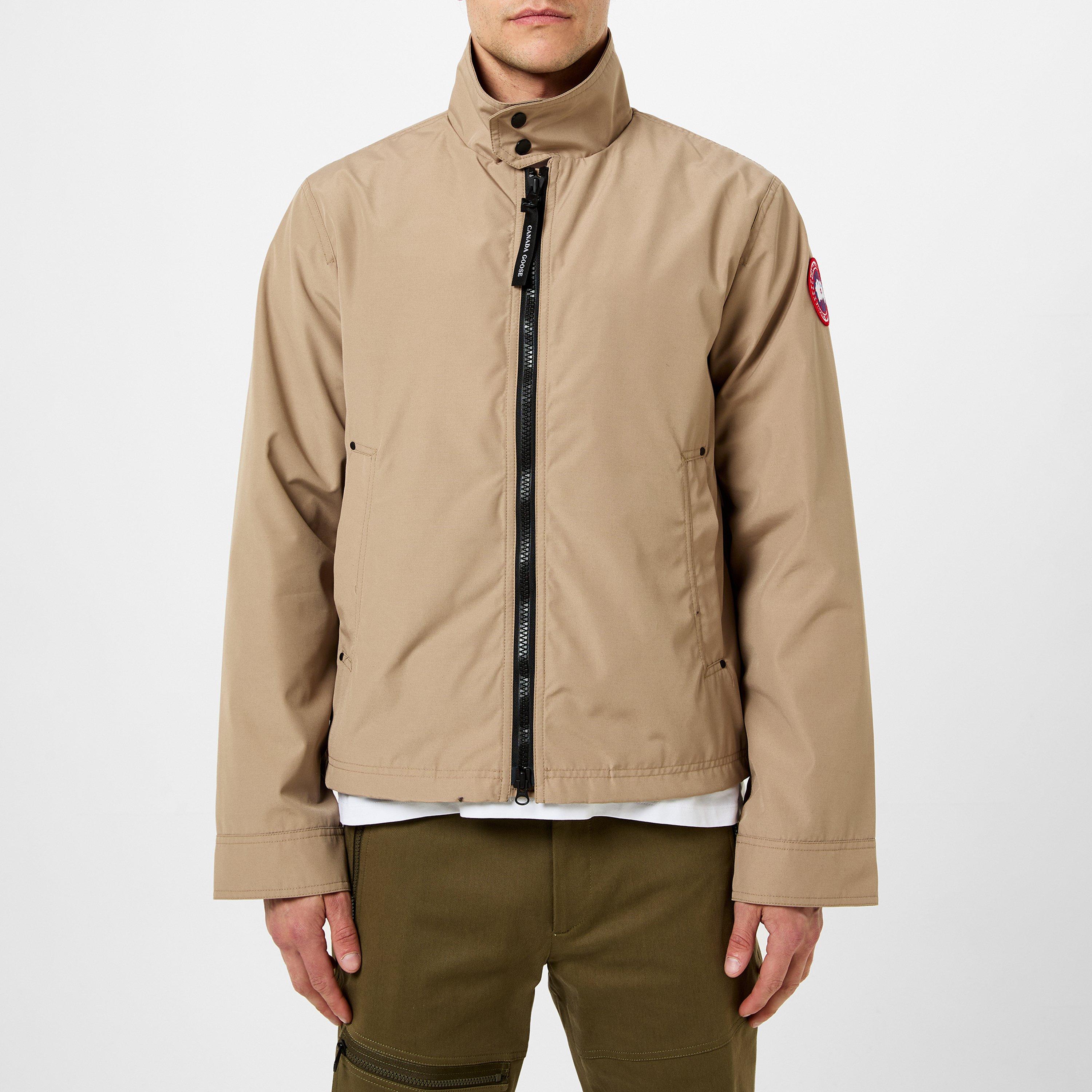 brown canada goose