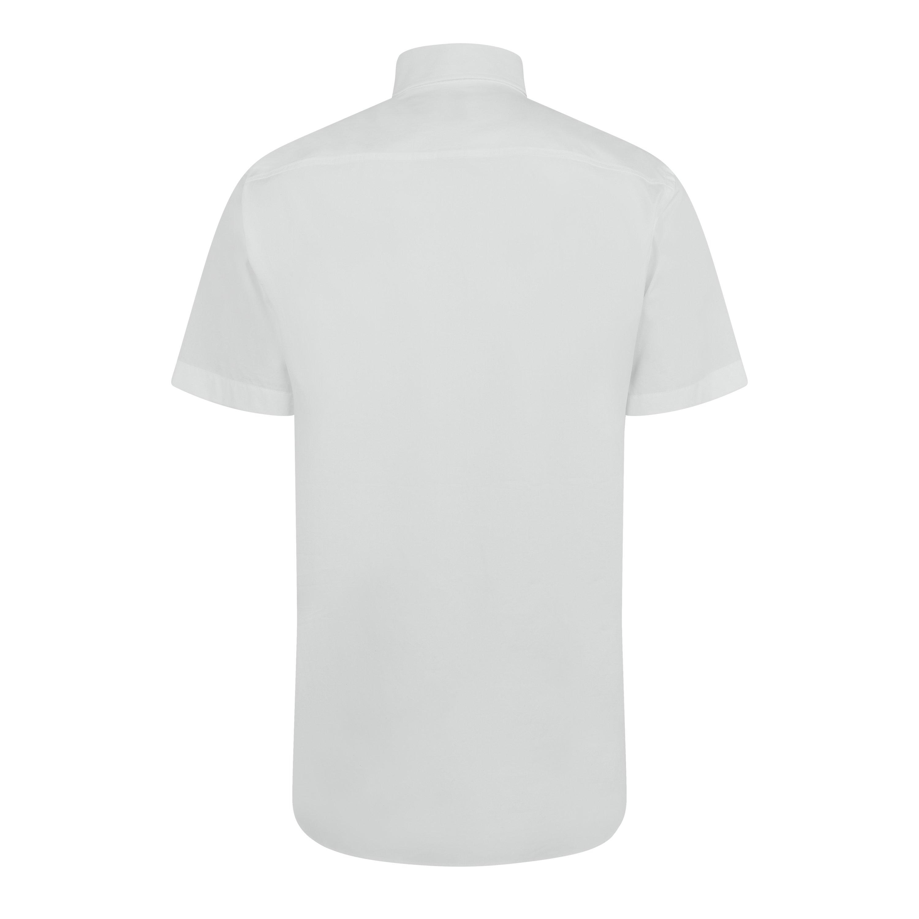 White A1464 - Burberry - Men's Embroidered Cotton Sherfield Ekd Button Shirt - 6