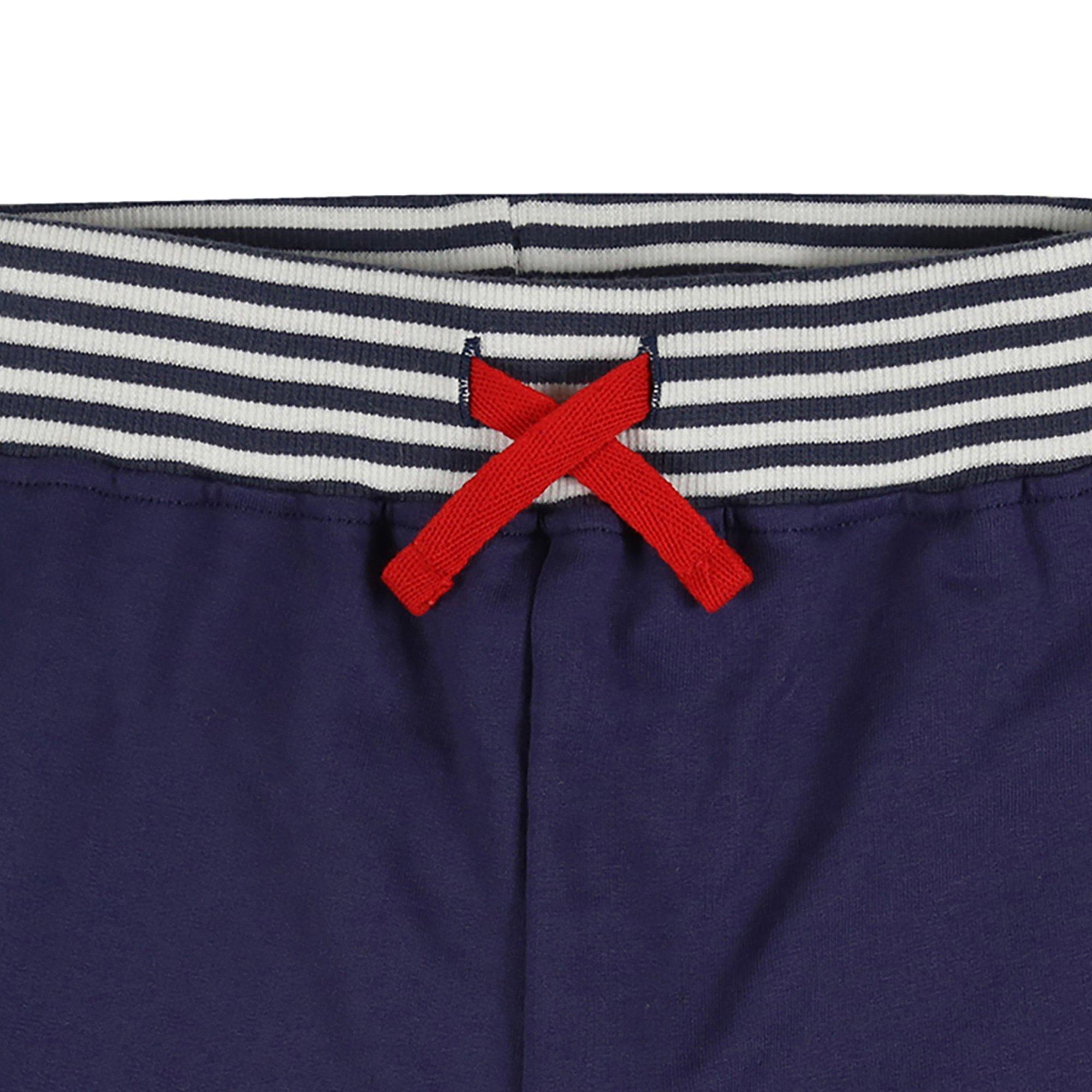 Navy - Lilly and Sid - Jogger Shorts - 3