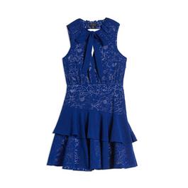 Ted Baker Timmia Dress