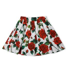 Dolce and Gabbana DG AO Print Skirt Jn34