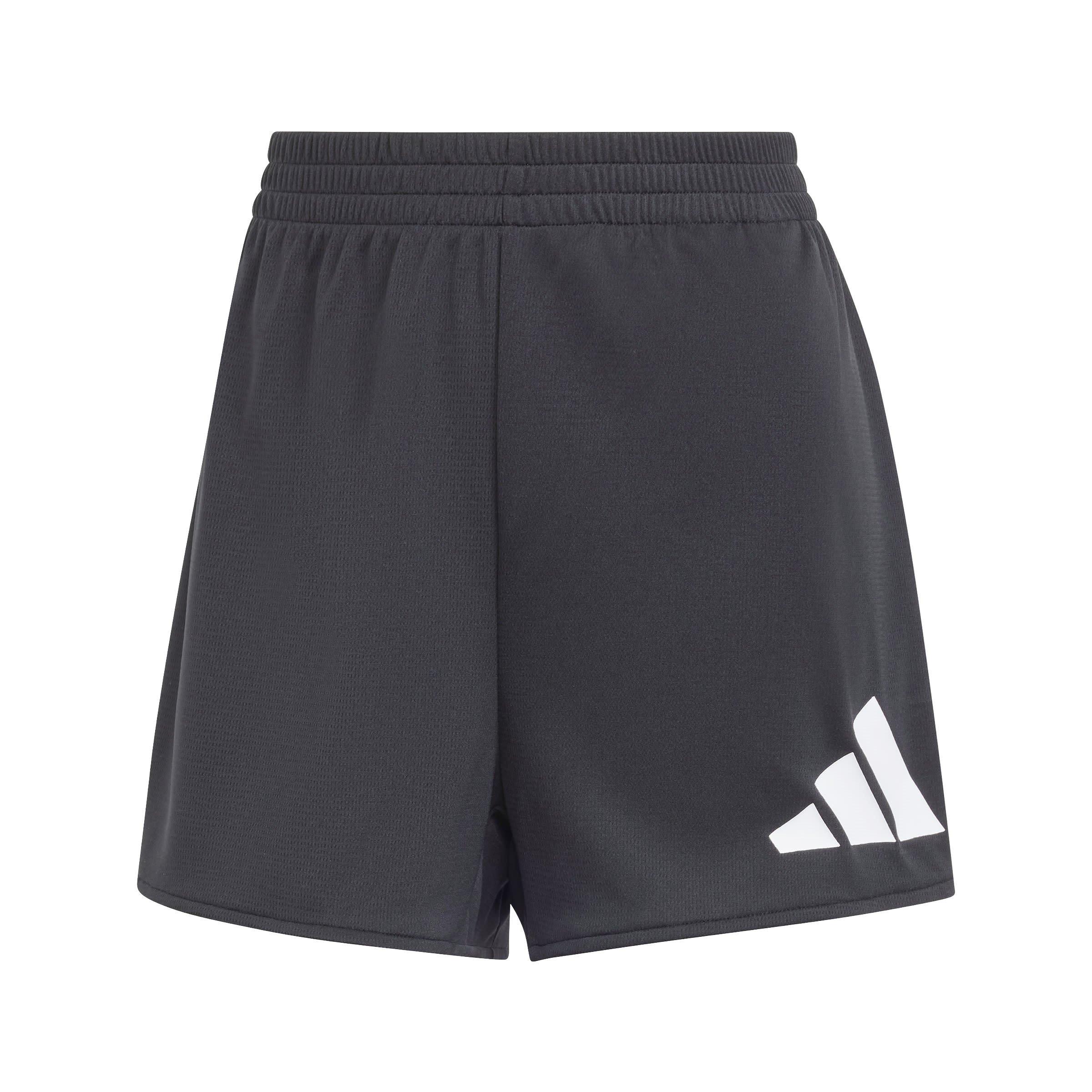 Adidas Women's Train Essentials Big Logo Shorts - Black - 12 (M)