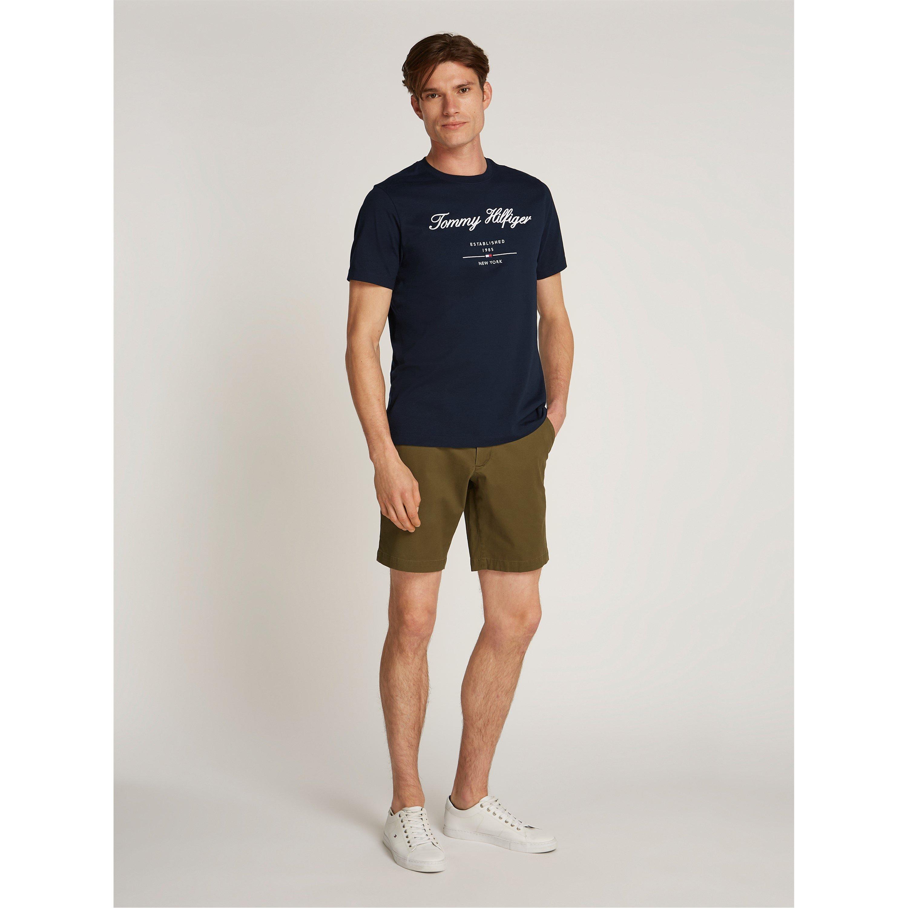 Desert Sky DW5 - Tommy Hilfiger - Men's Script Logo Regular Fit T-Shirt - 3