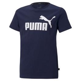 Puma à une déclinaison de la Puma Suede